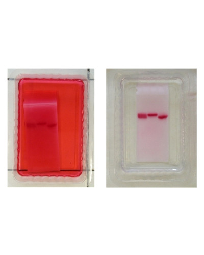 Gels d'acétate de cellulose pour les électrophorèses des lipoprotéines sur MINIPHOR 08/ TS