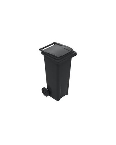 Conteneur poubelle 120 litres