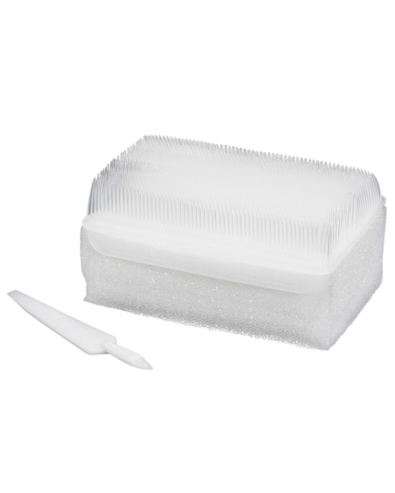 Brosse chirurgicale sèche et stérile avec cure-ongle (par 30) |