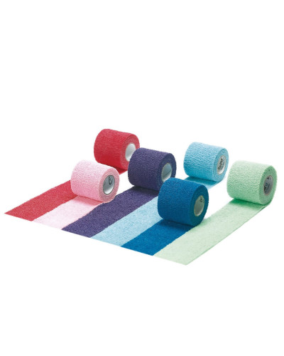 Pack 36 bandes Co-Plus Essity couleurs assorties 2m x 5cm | Socimed