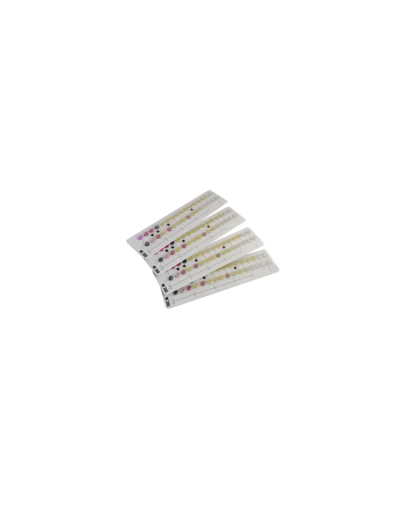 GALERIES API 20 NE - LOT DE 25