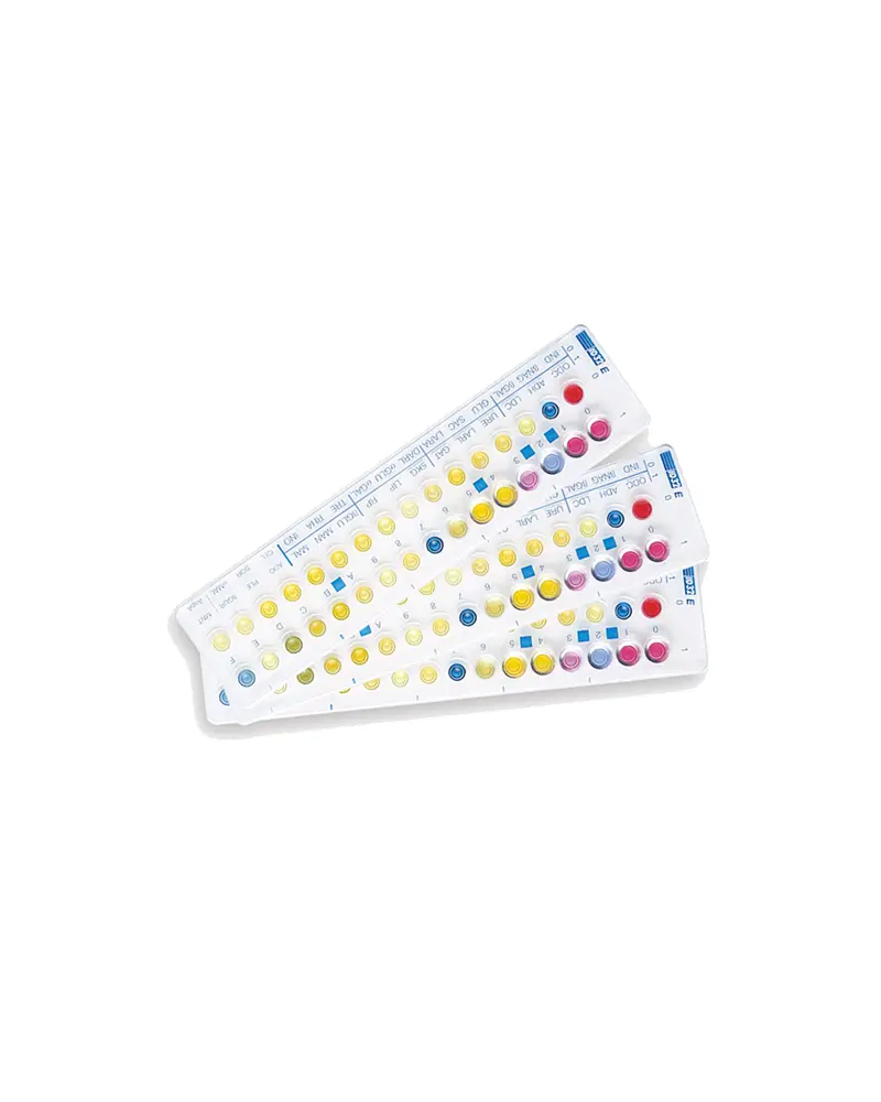 Kit ou Galerie API 10 S