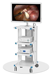 L'Endoscopie ORL Laparoscope chirurgicale de l'endoscope Système