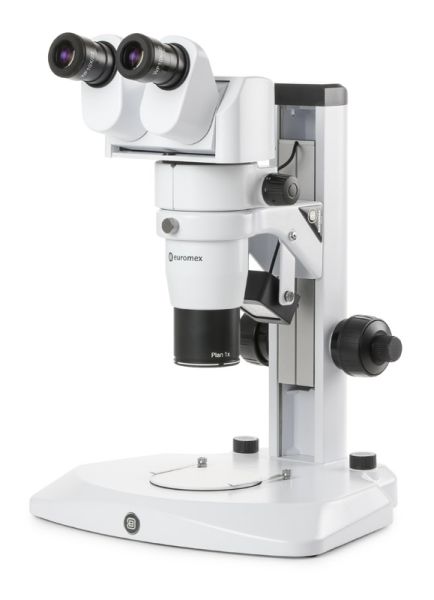 Loupe binoculaire grossissement online